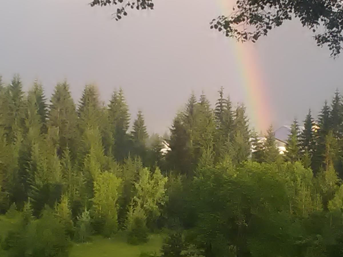 Vila Trtovic Nova Varoš Esterno foto