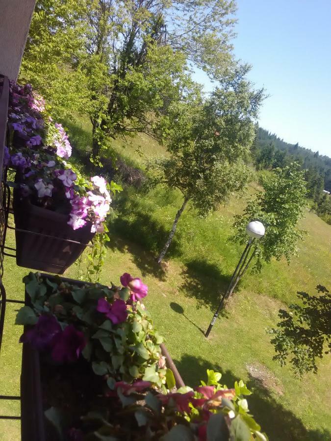 Vila Trtovic Nova Varoš Esterno foto