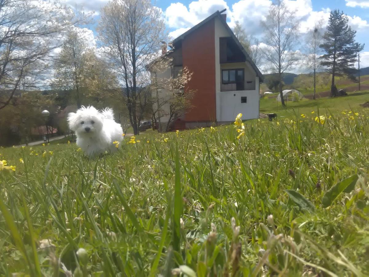 Vila Trtovic Nova Varoš Esterno foto